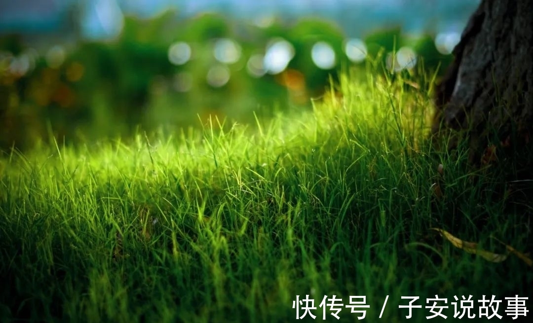 草芽@草木渐知春,萌芽处处新