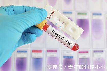 女子|34岁女子,幽门螺杆菌从800回归到了50,原来坚持吃1物,胃也好了