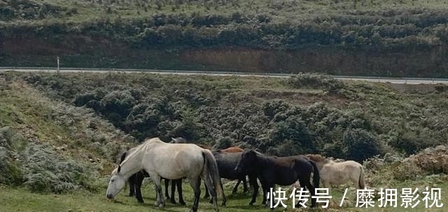 风景|这座夏天19℃的“蜜雪冰城”有多好吃？美食比成都更上头，风景比川西更惊艳！