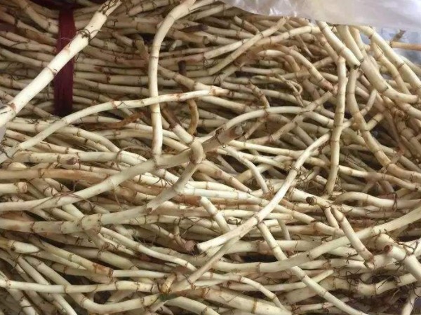 曲曲芽|野菜中的“4金刚”,钙含量竟是牛奶的3倍,现在吃还不晚!