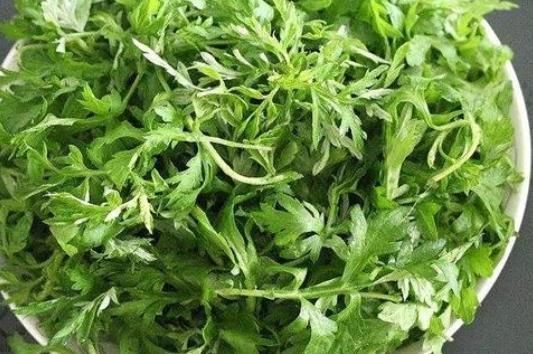 女人|艾叶是女人的养生草，每天一杯艾叶水，活血调经，还能越活越年轻