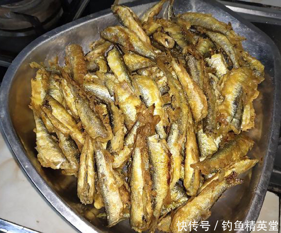 野钓白条的几种方法,上鱼速度一绝,一天钓十几斤是家常便饭