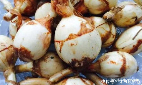 女性想身材好,推荐以下食物,排毒清肠,呵护肠胃,改善身体素质