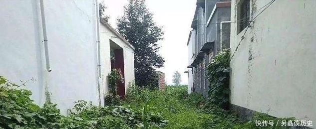 再多|农村俗语“不看家中宝,只看门前草”啥意思老祖宗的话还在理吗