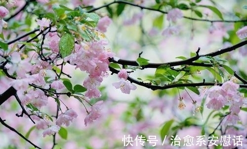 诗人$许浑的一首禅诗,不着一个禅字,字里行间满溢着对禅境的向往