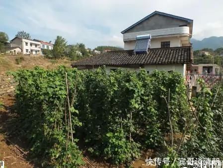 户口|农村宅基地大“整顿”，3件蠢事别做，容易丢了户口和房子