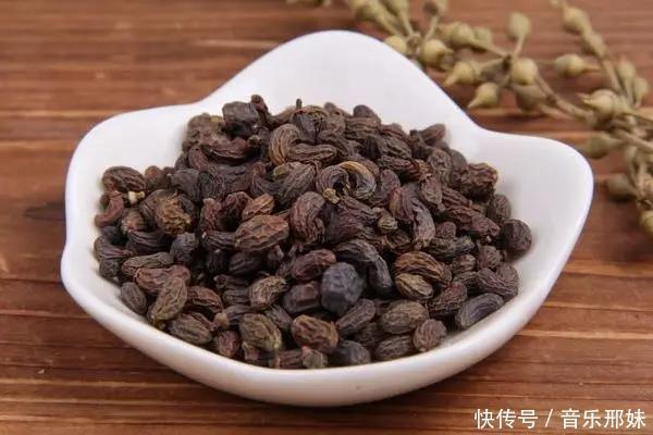 补肾最好的十大中药，除了淫羊藿、肉苁蓉，还有这些