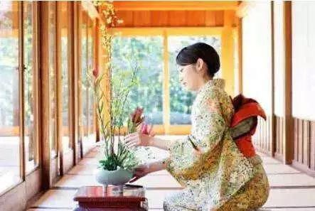 日本|日本人、越南人的趣知识