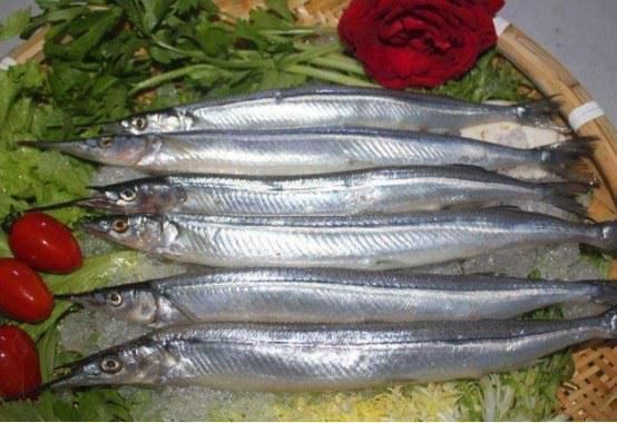 手软|夏天遇到此鱼别手软,趁现在无法人工养殖,买来烤着吃