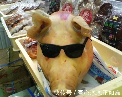 |搞笑图片幽默段子笑话:哈哈,卖家真会做生意,还给猪头戴上墨镜