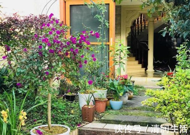 院墙|住一楼带院子的户型,做好5件事,轻松赶走潮湿