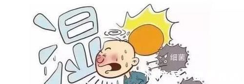 天敌|湿气的“天敌”找到了, 坚持每天吃, 逼走多年湿毒, 身体更健康