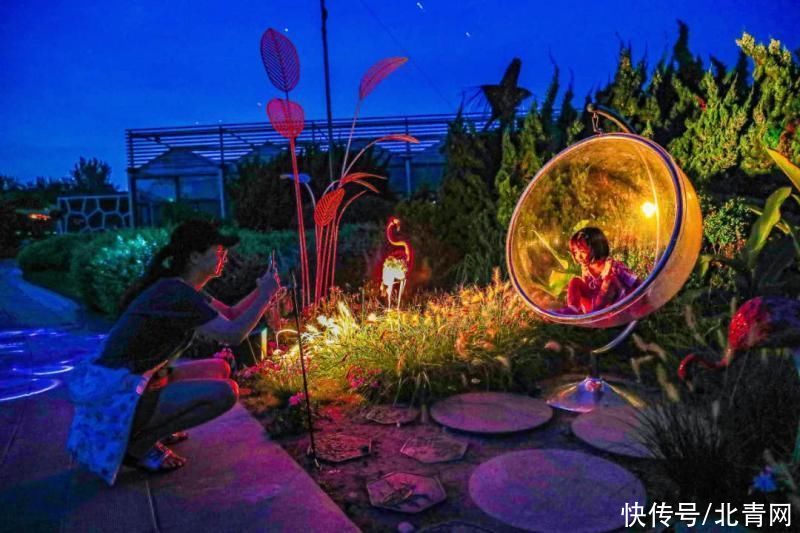 打卡|世界花卉大观园首届沉浸式魔幻夜游节成为夜生活打卡地