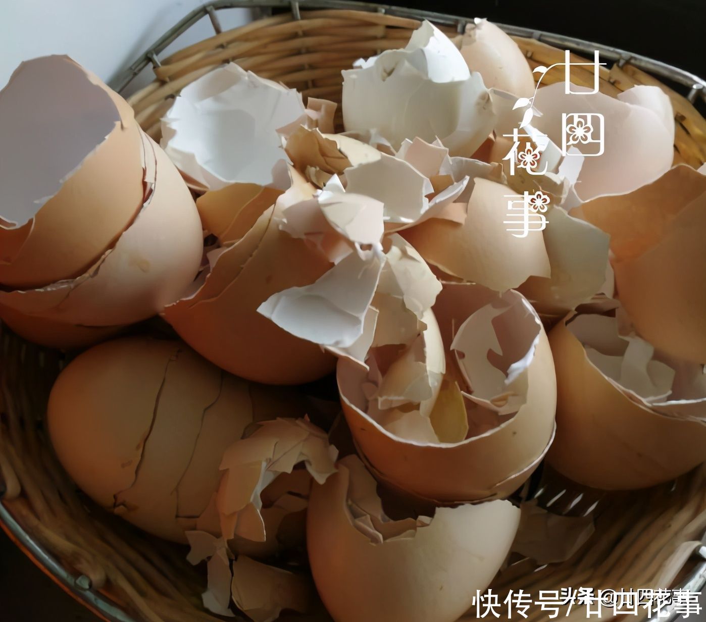 春节常见4种“废壳”，是养花“宝贝”，透气疏水，补肥效果好