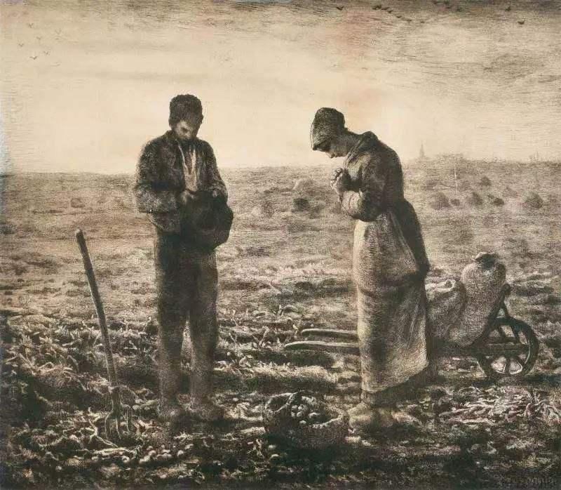 世界|土豆——世界上最成功的植物之一，没有它可能就没有人类文明！