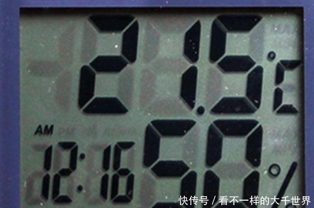 想让多肉顺利度过夏天，准备几个小工具很有帮助，别看不起眼！