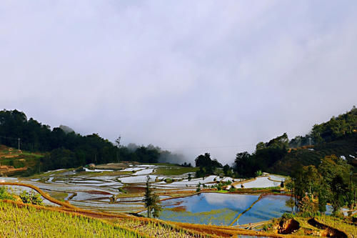 名气|游箐口梯田和哈尼族民俗村，品哈尼族美食，发现村民建房竟然可以不花钱