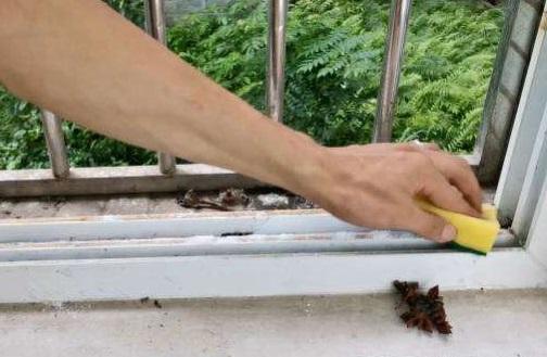 窗户滑道灰尘多太脏了,教你一招就能干净如初,简单方便又快捷