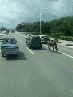 |搞笑GIF:本来是想喝水了,结果用力过大,我想他此刻已经崩溃了!