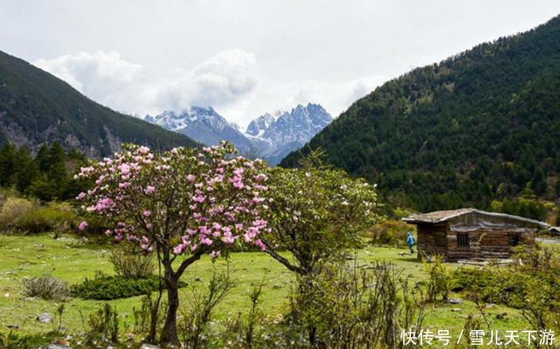 景区|川西最大高山湖泊，成都3小时刹拢