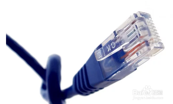电脑中毒后怎么处理