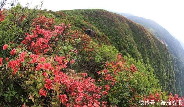 舜皇山|湖南永州最有名的3座山，其中1座是千古名山，你去过吗