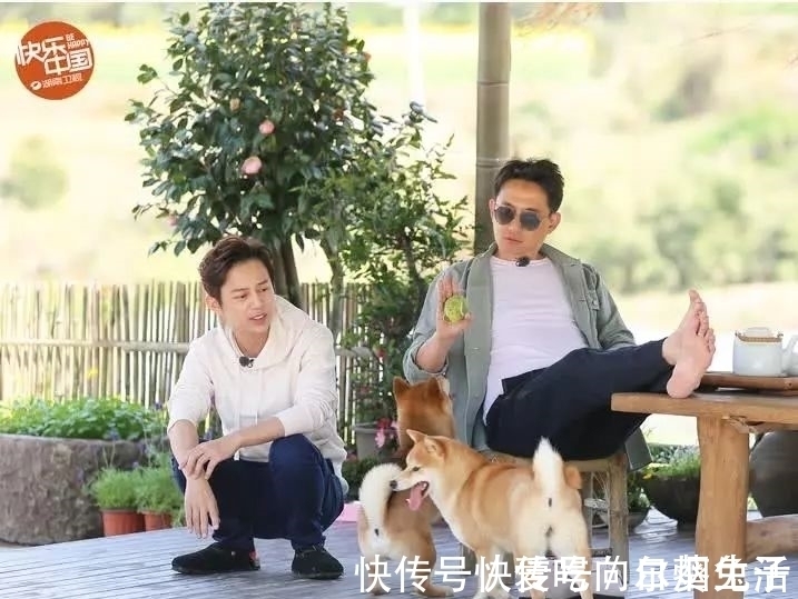 黃磊煮7個雞蛋嘉賓卻有8人,網(wǎng)友看完真相后直呼高情商