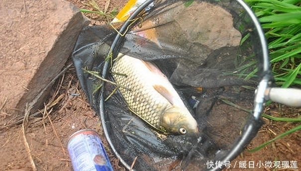 颗粒状|聊聊打窝哪些事,为什么要打窝以及打窝的一些心得经验