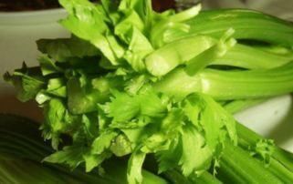 丝瓜|脂肪“讨厌”的5种食物,常吃点,燃脂排毒,体重嗖嗖往下降!