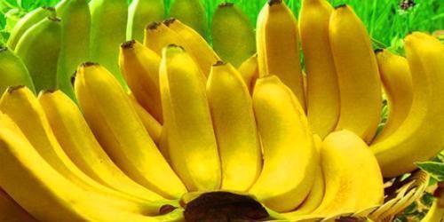 主根|男人要养肾,女人要养肝,3种食物,养肝护肝,排毒养颜