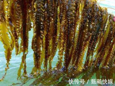 高血压|高血压的“特效药”找到了,连吃2周,血压直降,比“降压药”强