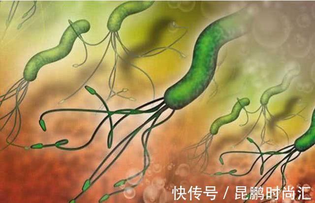 幽门螺旋杆菌|为什么说“富人得肠癌,穷人得胃癌”?分别要注意什么?说清楚了