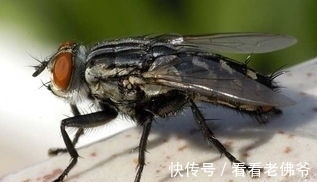 裸睡|31个冷知识:学校里不会教,但却可以使人博学的奇怪知识