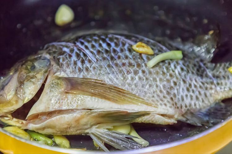 煎鱼要想不破皮，切忌直接下油锅，牢记关键2步，出锅很完整