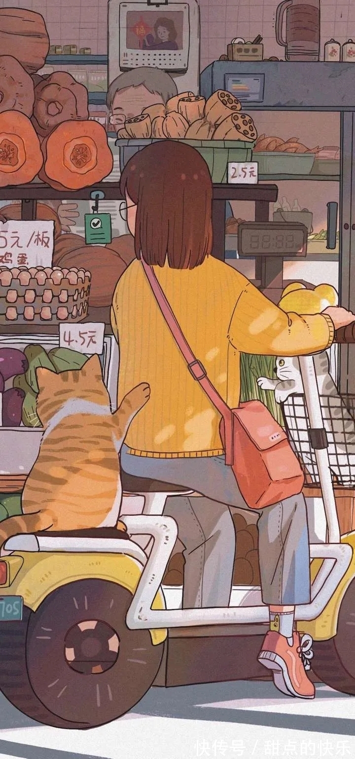 手机壁纸|答非所问