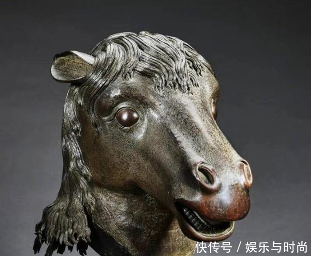 回家|马首“回家”的背后,这些事你知道吗