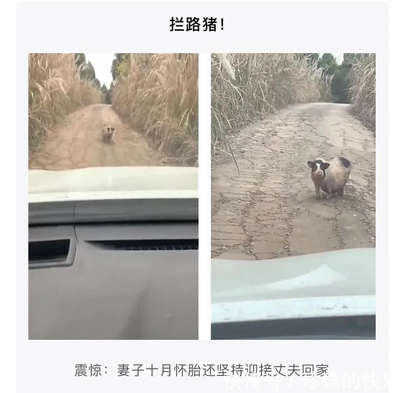 |神评段子合集:当年微信上的漂流瓶,你捡到的最有意思的是什么?