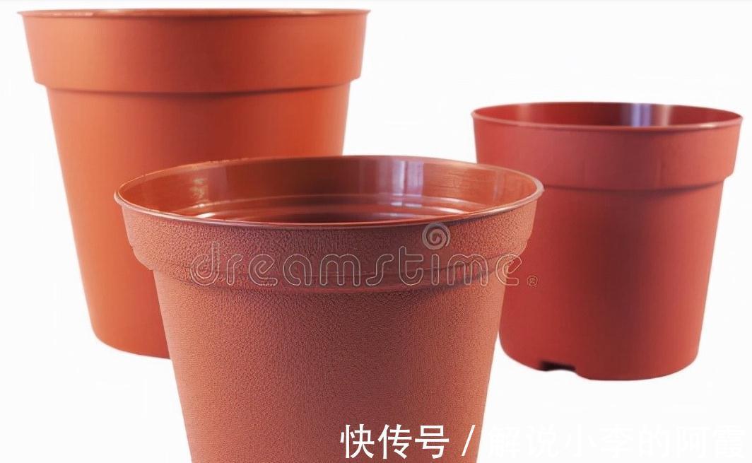 植物花盆选用有讲究,用错花盆植物寿命会减短