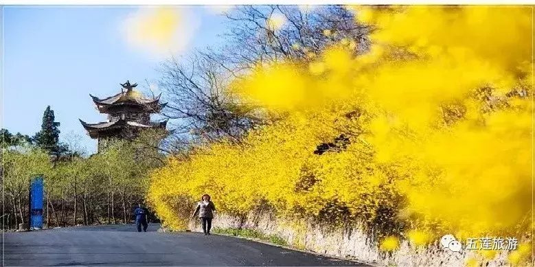 春日好时光，听花开的声音