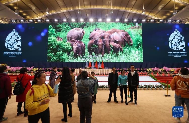 昆明滇池国际会展中心|昆明：COP15会场今日起免费向公众开放