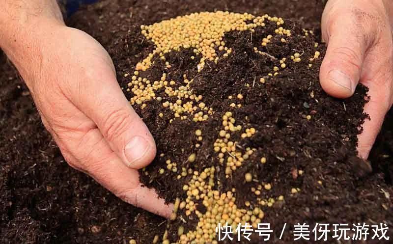 养花肥“又杂又贵”？认清3元素，花几块钱，养一百种花