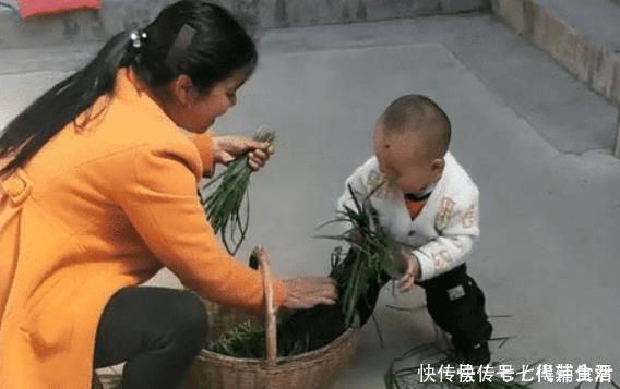 实力|“会干的不想干,不会干的抢着干”,萌娃实力帮倒忙,摘韭菜火了