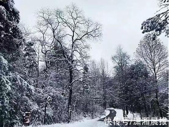 李蕾|组图｜雨花雪景还没赏够？看这里！惊艳nice“绝绝子”