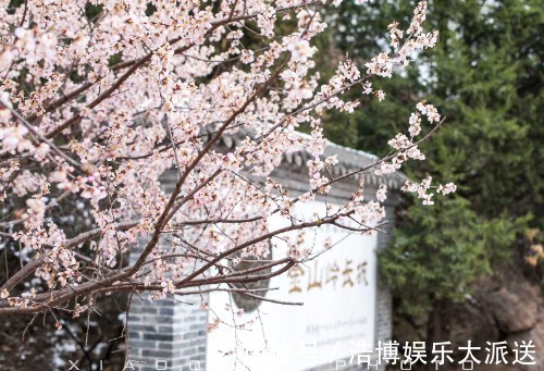 孤独星球@世界文化遗产中最美这一段长城,曾被《孤独星球》多次推荐