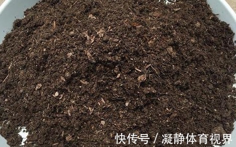 喜欢养花，先戒掉7个坏习惯，不然啥花也养不好，你占了几个？
