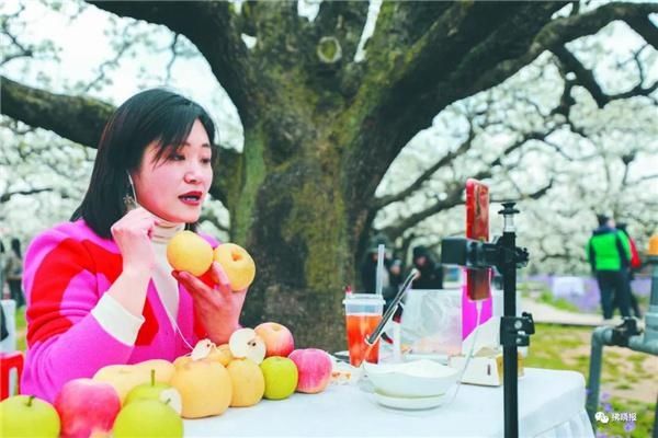 第26届中国·砀山梨花节：乡村振兴春风来 千树万树梨花开