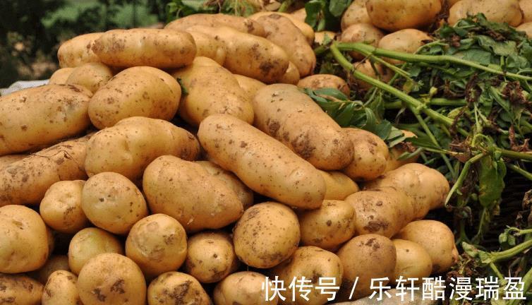 排骨|秋天多吃4种“土里鲜”,都是时令菜,新鲜营养高,别错过