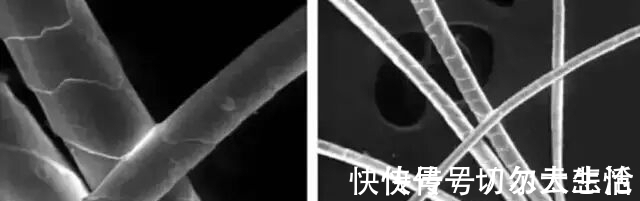 loro 卷福基努里维斯，在打造绅士这点上心有灵犀