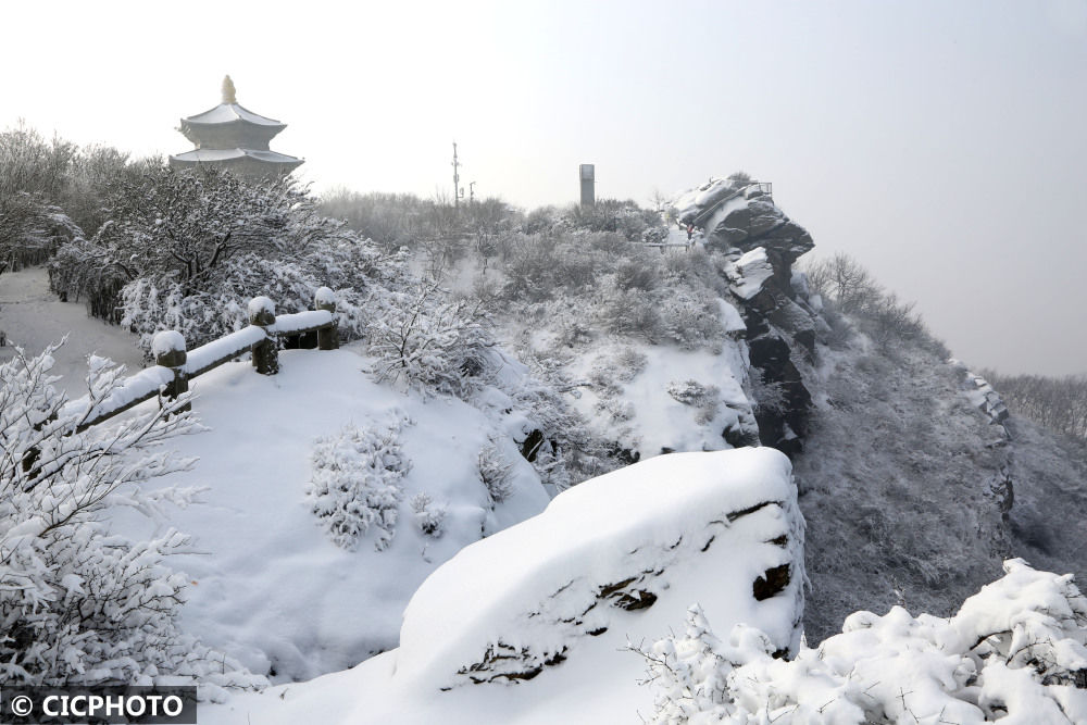 连云港市|江苏连云港：银装素裹雪世界