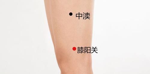 引血|膝盖，人体中转站！只需2招，祛寒止痛、引血下行，激活全身气血